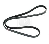 Cinghia Poly-V PER Mitsubishi Pajero II 3.0 V6 24V 133 KW 181 CV