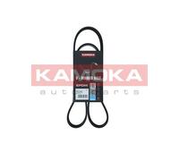 Cinghia Poly-V per NISSAN OPEL RENAULT CUBE INTERSTAR MASTER MICRA MICRA C+C MOV