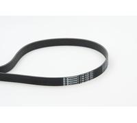 Cinghia Poly-V per NISSAN OPEL RENAULT VAUXHALL DUSTER INTERSTAR KAPTUR LAGUNA M