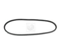 Cinghia Poly-V PER Opel Commodore A 2.5 GS 96 KW 131 CV