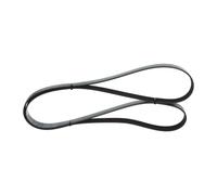 Cinghia Poly-V per OPEL RENAULT VAUXHALL MASTER MOVANO