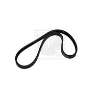 Cinghia Poly-V PER Peugeot 405 II Break 1.9 D 51 KW 69 CV