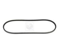 Cinghia Poly-V PER Renault Master I 2.5 D 55 KW 75 CV