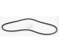 Cinghia Poly-V PER Renault 11 1.4 50 KW 68 CV