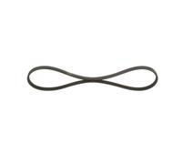 Cinghia Poly-V per RENAULT 19