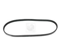 Cinghia Poly-V PER Saab 95 sw 1.5 V4 50 KW 68 CV