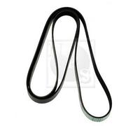 Cinghia Poly-V PER Mercedes SL 300 SL 138 KW 188 CV