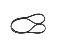 Cinghia Poly-V per TOYOTA AURIS bB COROLLA ECHO PORTE VERSO S YARIS