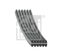 Cinghia Poly-V per VOLVO C70 S40 S60 S70 S80 V40 V70 XC70
