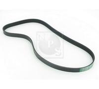Cinghia Poly-V PER Renault Megane I Grandtour 1.9 D 47 KW 64 CV