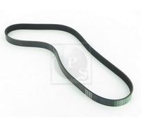 Cinghia Poly-V PER VW Caddy III / 2.0 TDI 4motion 62 KW 85 CV