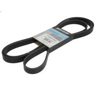 Cinghia poly-V QUICKSILVER 57-865615Q03