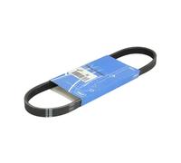 Skf Fiat Stilo Vkmv4Sk663