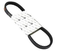 CINGHIA POMPA ACQUA ALTERNATORE 850636 ORIGINALE PIAGGIO QUARGO 500 2005-2017
