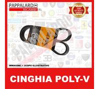 CINGHIA PV SERVIZI ALTERNATORE FIAT 500 GRANDE PUNTO EVO PANDA 312 1.2 1.4 BENZ.