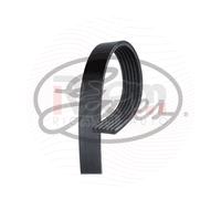Cinghia Poly-V GATES 6PK1183