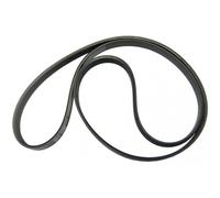 CINGHIA RIGATA LAVATRICE SAN GIORGIO OCEAN 1228 H7 7EPH