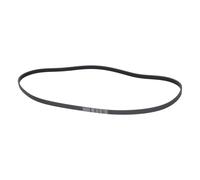 Cinghia Scanalata 1202PJ5E Compatibile Con Haier 49050979 per Lavatrice