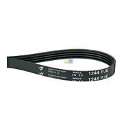 Cinghia Scanalata 1244PJ4E Waschmaschine per Beko 2816750100