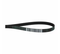 Cinghia Scanalata 1252pj5e Compatibile Con Bosch 00678914 per Lavatrice