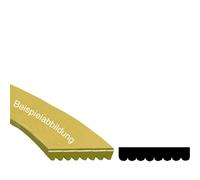 Cinghia Scanalata 1830 PH 8 MAEL Asciugatrice Come Electrolux ZANUSSI 125606200