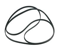 Cinghia Scanalata 1965ph6 Compatibile Con Bauknecht 481235818186 per Asciugatore