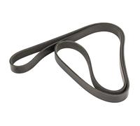 Cinghia Scanalata 6K1580 55193360