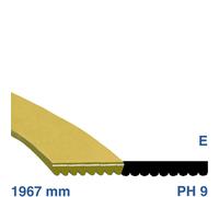 Cinghia Scanalata Cinghia 1967 Ph 9 E Asciugatrice Arcelik Beko 2953240200