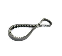 CINGHIA SCARABEO 100 4T ORIGINALE 82646R
