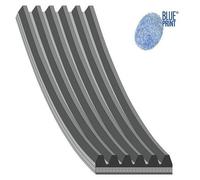 Cinghia serpentina Blueprint AD06R2464 2464 mm adatta per Chrysler Tacuma...
