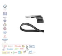 Contitech 6 PK 1580 Cinghie Trapezoidale