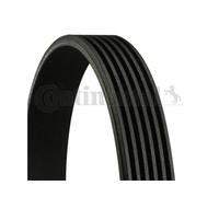 CINGHIA SERVIZI CONTITECH 6PK1080 TRASMISSIONE ALTERNATORE COMPRESSORE AUTO