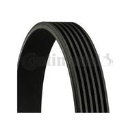 CINGHIA SERVIZI CONTITECH 6PK1564 TRASMISSIONE ALTERNATORE COMPRESSORE AUTO