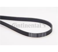 CINGHIA SERVIZI CONTITECH 6PK2260 TRASMISSIONE ALTERNATORE COMPRESSORE AUTO