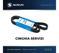 Cinghia Servizi DAYCO 6PK1070 AUDI SEAT SKODA VW