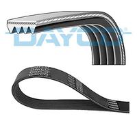 CINGHIA SERVIZI DAYCO DAY4PK1065