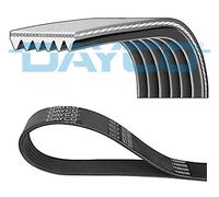 Dayco Cinghia Poly-V 6PK1076 compatibile con Peugeot 306 XT