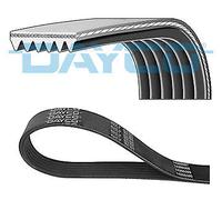 CINGHIA SERVIZI DAYCO DAY6PK1180