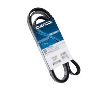 CINGHIA SERVIZI PER FORD C-MAX II 1.6 TDCi 85 Kw 115 Hp