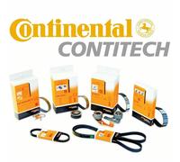 CINGHIA SERVIZI POLI-V ELASTICA 6PK1019 PER FORD FIESTA C-MAX 1.25 1.4 1.6 BENZI