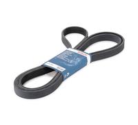 Cinghia Servizi Poly-V Bosch 7DPK2950 Porsche Cayenne (9PA) 4.5 S 4.5 Turbo S