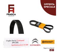 Cinghia Servizi Poly-V Continental Citroen XM Break 2.5 TD 2.0 Turbo 2.0i 16V