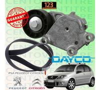 CINGHIA SERVIZI POLY-V + TENDICINGHIA CITROEN C3 I - C3 PLURIEL 1.4 / 1.6 HDI