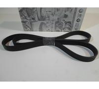 CINGHIA SERVOSTERZO BELT POWER STEERING ORIGINAL AUDI A3 VOLKSWAGEN BEETLE BORA