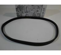 CINGHIA SERVOSTERZO BELT POWER STEERING ORIGINAL VOLKSWAGEN LUPO POLO SEAT AROSA
