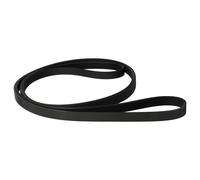 Cinghia sostituisce Electrolux 125828810/7 per lavatrice/asciugatrice