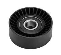 Cinghia Tensionatore Polenne 11281433571 adatto per E36 E46 E34 E39 E60 E61 E38 E65 E66 E83