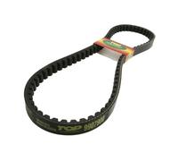 Cinghia Top Performances - Pegasus S50 GP