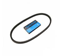 Dayco Cinghie Trapezoidali Cog 10A0875C