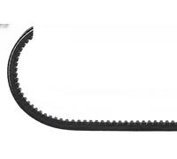 Dayco Cinghia trapezoidale Sectoflex 9,5 x 975 mm – 10A0975C